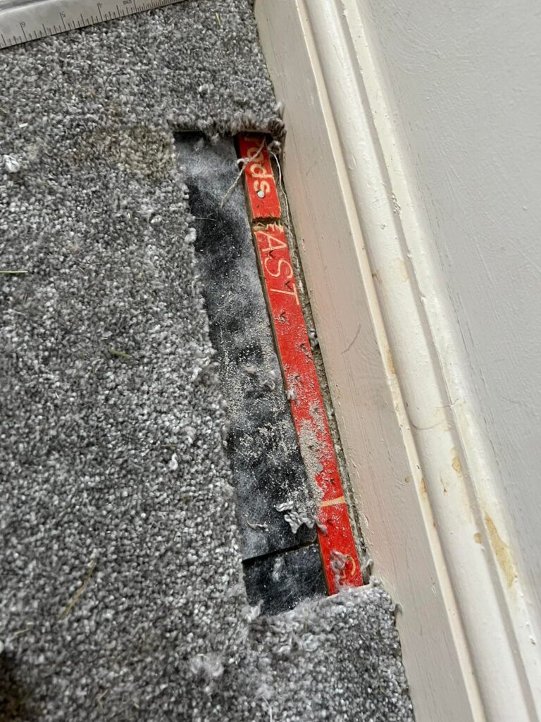 Carpet Repair in Rochester: Restoring Synthetic Carpet Damaged by a Dog