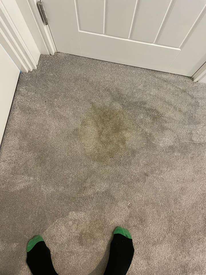 How To Remove Carpet Stains