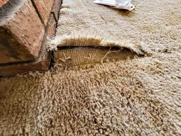 the best carpet repair service in ashford kent