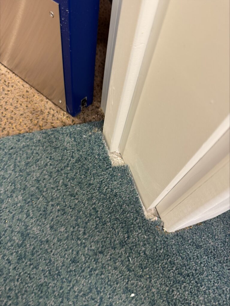 fire door replacement carpet repair