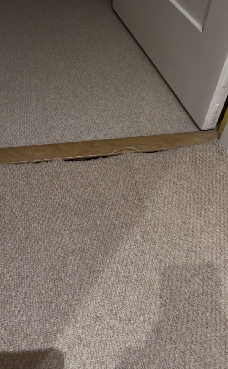 carpet cleaner shrinks carpet